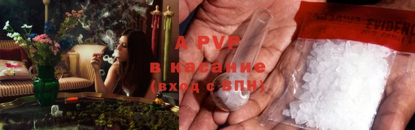 ГАЛЛЮЦИНОГЕННЫЕ ГРИБЫ Нефтекумск