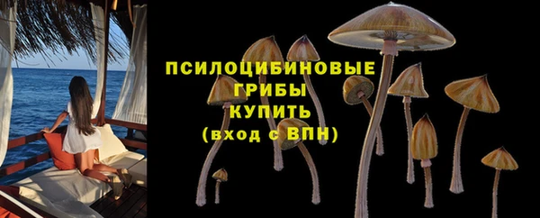 марихуана Новокубанск