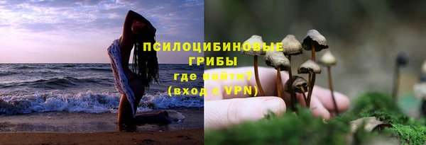 герыч Новодвинск