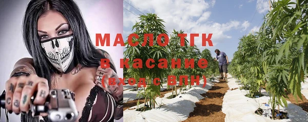 не бодяженный Новозыбков
