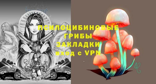 герыч Новодвинск