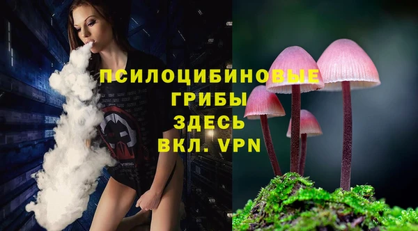 ГАЛЛЮЦИНОГЕННЫЕ ГРИБЫ Нефтекумск