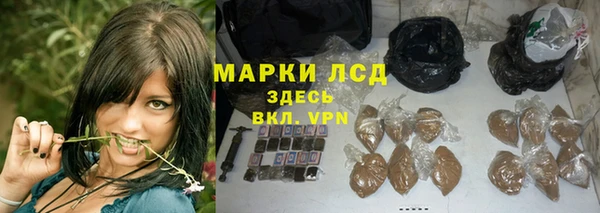 не бодяженный Новозыбков